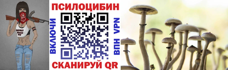 цены наркотик  Благодарный  Галлюциногенные грибы Cubensis 